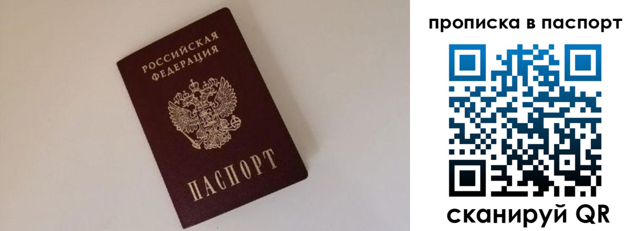 прописка регистрация в Петропавловске-Камчатском